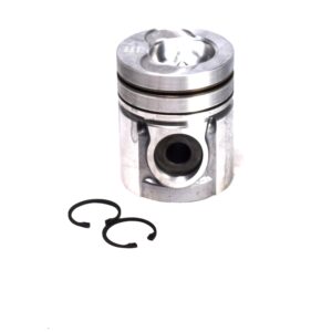 Piston W/Pin & Clips L/C 060226(Ms300) 102 mm Rvi Midliner