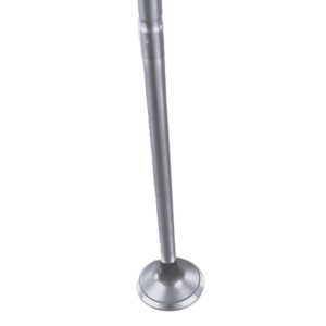 Intake Valve 6.6L/7.8L Ford