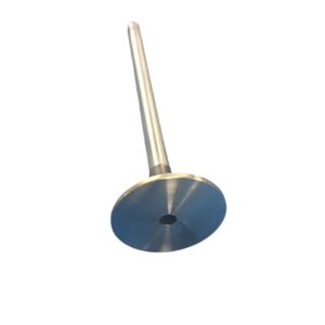 Exhuast Valve 6.6L/7.8L Ford