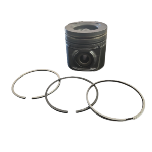 Piston Kit ( W/Pin &Clips And Ring ) 8.9 Cummins