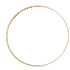 Liner Shim 031in thick Series 60 Detroit Diesel