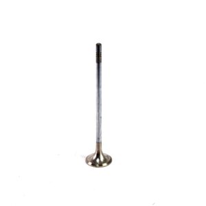 Intake Valve D13/MP8 Volvo Mack