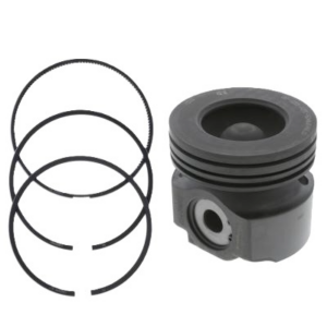 Piston Kit (W Pin &Clips And Ring) DT570E International
